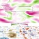 Illustration for article titled This Strange Wind Pattern Let Us Dodge A Terrible Hurricane Season
